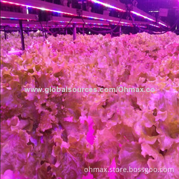 Waterproof LED Grow Light, 18W, for Agriculture, Green House and Horticulture Farms Plants Growth